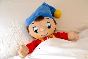 Limited Prints: Noddy. Picture by James Boardman