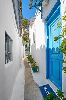 Flowers Collection: Norrow street in the Anafiotika quarter under the Acropolis, Athens, Greece
