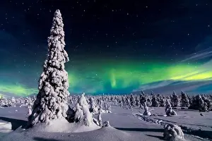 Northern Lights Prints: Northern lights in Riisitunturi national park, Finland