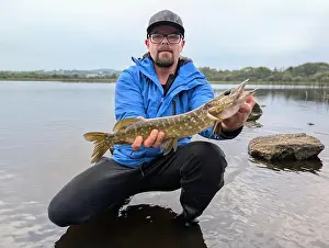 Bait Prints: Northern pike freshwater fish caught in Ballyquirke lough