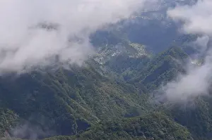 Walking Path Prints: The northern slopes of Madeira's mountains, thickly covered with laurisilva forest