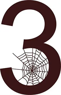 Arachnid Prints: Number 3 with spider web icon design template vector illustration