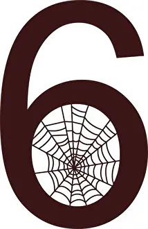 Arachnid Prints: Number 6 with spider web icon design template vector illustration