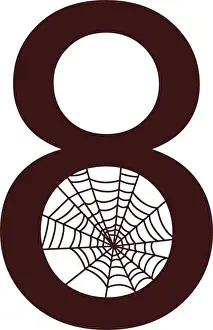 Arachnid Prints: Number 8 with spider web icon design template vector illustration