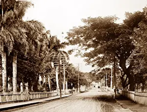 Honolulu Hawaii Prints: Nuuanu Avenue, Honolulu, Hawaii, pre 1900