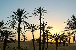 Mauritanian Prints: Oasis of Tidjikja. Tagant region, Mauritania
