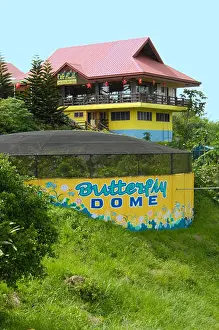 Visayas Prints: observation point on the Chocolate hills