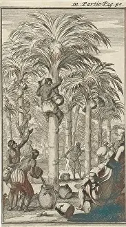 Jan Luyken Prints: Obtaining palm wine in India, Jan Luyken