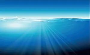 Fishes Prints: The Ocean