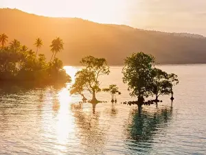 Ocean landscape with mangrove trees in water and sunrise or sunset sunlight in Indonesia