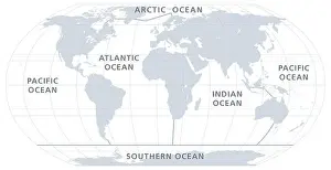 The five oceans of the world, gray map. Model of oceanic divisions with approximate boundaries. Pacific, Atlantic, Indian, Arctic, and Southern