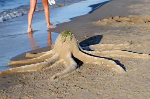 Polska Prints: octopus made in sand on beach at Baltic Sea in Swinoujscie, Poland
