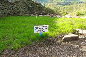 Dales Prints: Please keep off the grass sign. Only just seeded