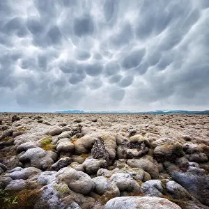 Offbeat Iceland landscape with lava field covered with brown moss Eldhraun from volcano eruption and cloudy sky
