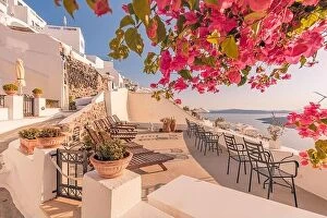 Images Dated 11th October 2019: Oia town on Santorini island, Greece. Traditional famous white blue houses flowers under sunny