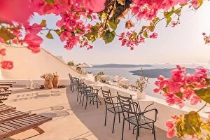 Images Dated 11th October 2019: Oia town on Santorini island, Greece. Traditional famous white blue houses with flowers under
