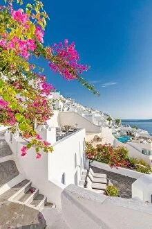 Images Dated 11th October 2019: Oia town on Santorini island, Greece. Traditional famous white blue houses with flowers under