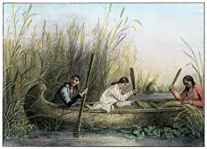 Great Lakes Prints: Ojibwa women gathering wild rice. Hand-colored halftone of a Seth Eastman illustration