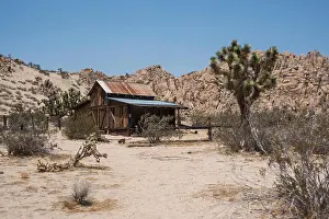 Joshua Tree Prints: Old Barn in Mojave Desert