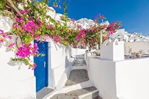 Images Dated 11th October 2019: Old blue door and pink flowers, traditional Greek architecture, Santorini island, Greece