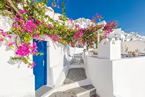 Old blue door and pink flowers, traditional Greek architecture, Santorini island, Greece. Beautiful details of the island of Santorini, white houses