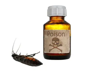 Deadly Prints: old bottle of poison and dead cockroach