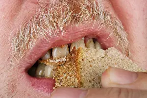 Tasting Prints: Old elderly mustachioed man chews bread with yellow sore teeth. Studio food macro concept