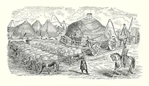 Bullock Prints: An old engraving of a massive ‘Scythian wagon pulled by 22 oxen and carrying a moveable felt-covered dwelling