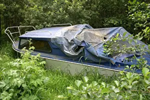 Forgotten Prints: Old leisure cruiser discarded among the bushes near Drumshanbo lock
