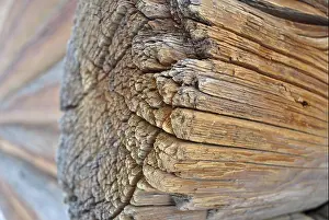 Pleasant Prints: The old log in the village house