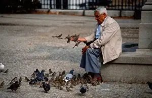 Citizens Prints: Old man feeding pigeons / Paris / Alter Mann fuettert Tauben