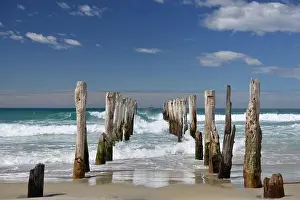 Amazing View Prints: Old poles on St Clair beach in Dunedin
