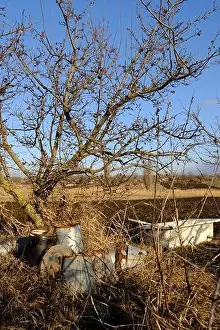 Old rusted buckets in the village. Natural background of field with dry grass and fooliage