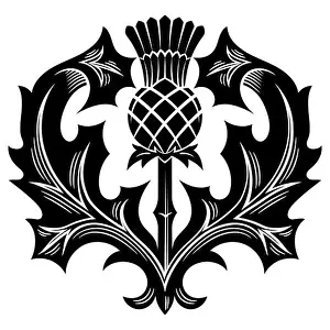 Thorn Prints: Old Scottish design. Thistle flower in Celtic ethnic style
