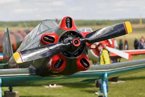 Screw Prints: Old single-engine plane closeup