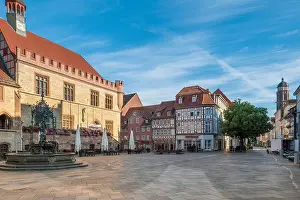 City Hall Prints: Old town hall in Goettingen with Gaenseliesel fountain, Germany