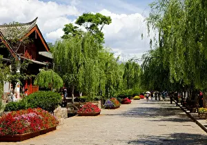 Typically Prints: Old Town, Lijiang, UNESCO World Heritage Site, Yunnan Province, China, Asia