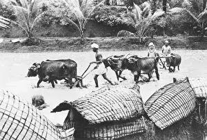 Outsides Prints: old vintage 1900s black and white pictures Life in India Indian life