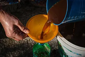 Funnel Prints: Old woman's hands pouring juice from pan in bottle via funnel