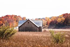 Farmstead Prints: Old wood barn in a field with autumn trees in the background