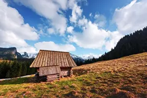 Old wooden hut in spring High Tatras mountains in Kalatowki meadow, Zakopane, Poland. Crocus flowers on a foreground. Landscape photography