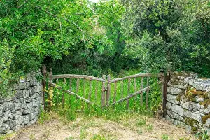 Sardinian Prints: Old wooden rustic gate and stone wall in a green grassy field with trees in the mountains of Sardinia