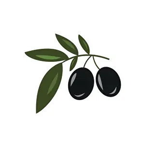 White Vector Vectors Prints: Olive oil. Logo. Vector illustration. Black and green olives on white background