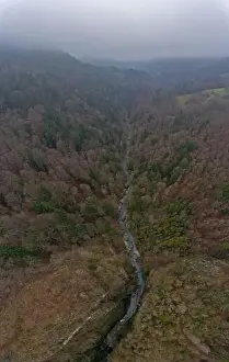 op down drone view of a river gorge flowing through a misty forest alpine landscape on a foggy winters day