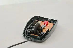Open computer mouse with exposed electronic circuit for maintenance, symbol of technology and modern computing. Perfect for technology concepts, digit