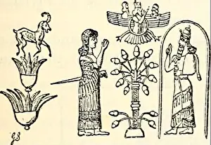 Bookyear1887 Prints: The Open court. he haoma which is yellow