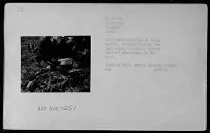 Professionals Prints: During Operation Mallard in January 1966
