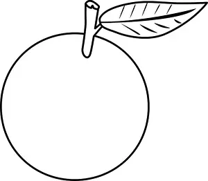 orange delicious fresh fruit nutrition vector illustration outline