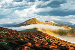 Orange grass trembling in the wind in autumn mountains at sunrise. A soft mist flows through the mountain peaks. Carpathian mountains, Ukraine