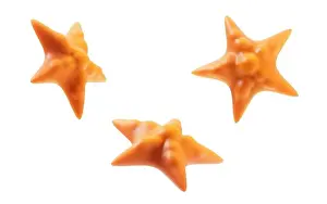 Starfishes Prints: Orange starfish with cartoon style, 3d rendering. 3D illustration